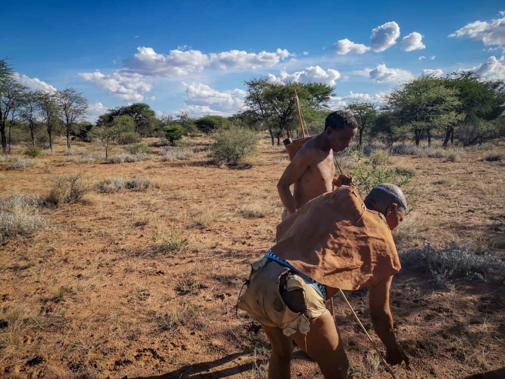 Botswana Ghanzi Bushmen