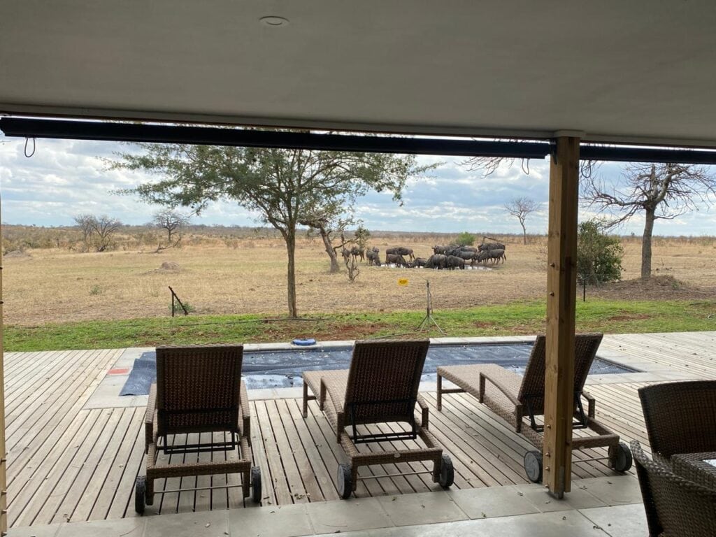 savanna karula directors house sabi sands 3