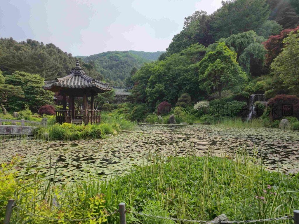 晨靜樹木園