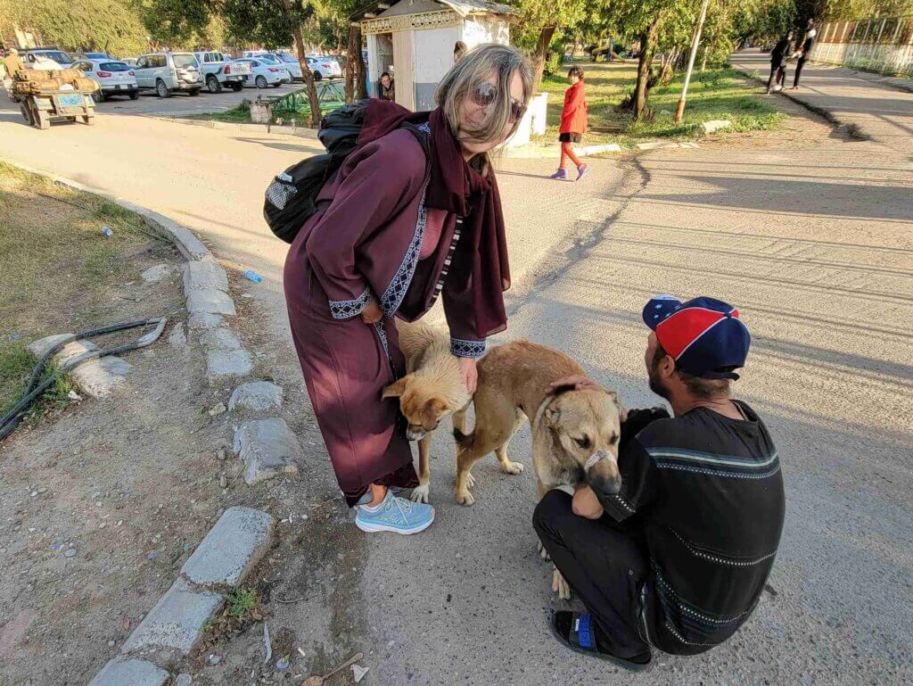 Dog saver of Baghdad