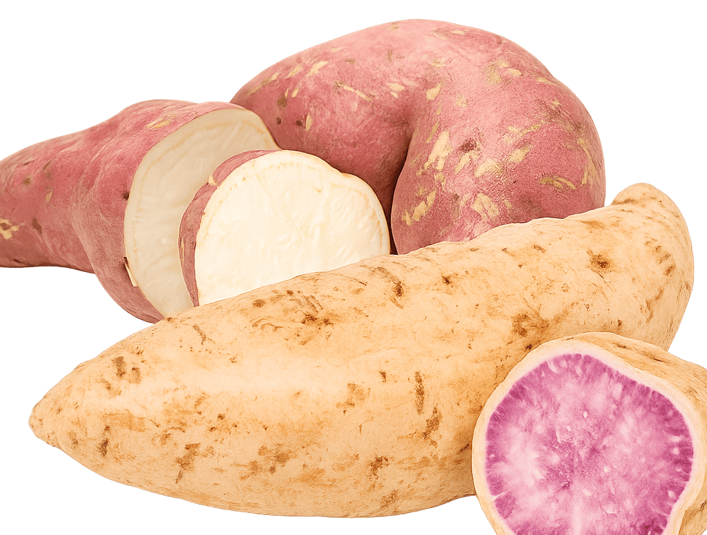 Sweet Potato