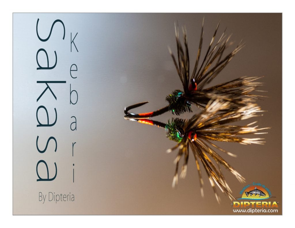 Sakasa Kebari mouche légendaire pour la pêche au Tenkara montée par Dipteria