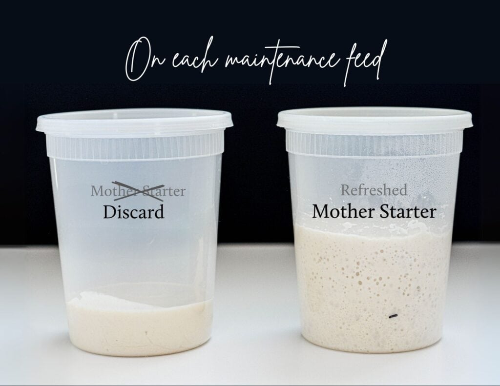 Sourdough starter discard