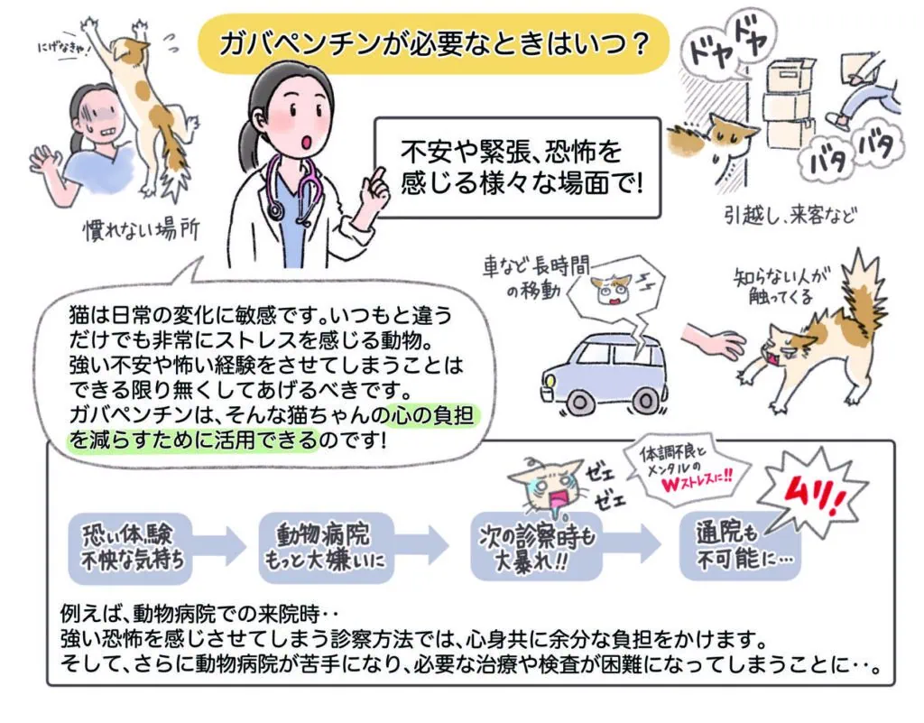 動物病院の診察や引越しなど、環境の変化に怯える猫