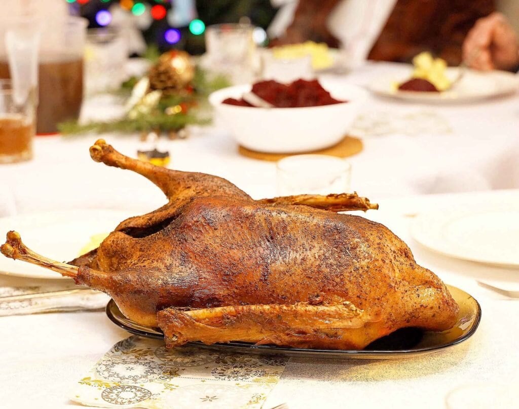 80955470 3127239197303779 1388710076671328256 ob 1 1024x806 - Menu