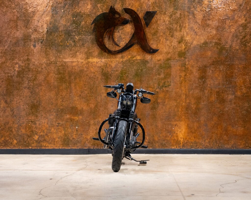 2019 HD SPORTSTER IRON 883™