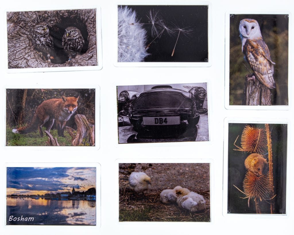 Grid of nine wildlife and nature photo magnets products featuring owls, foxes, birds, vintage car, and scenic Bosham — part of EJC Photography’s collectible gift range.
