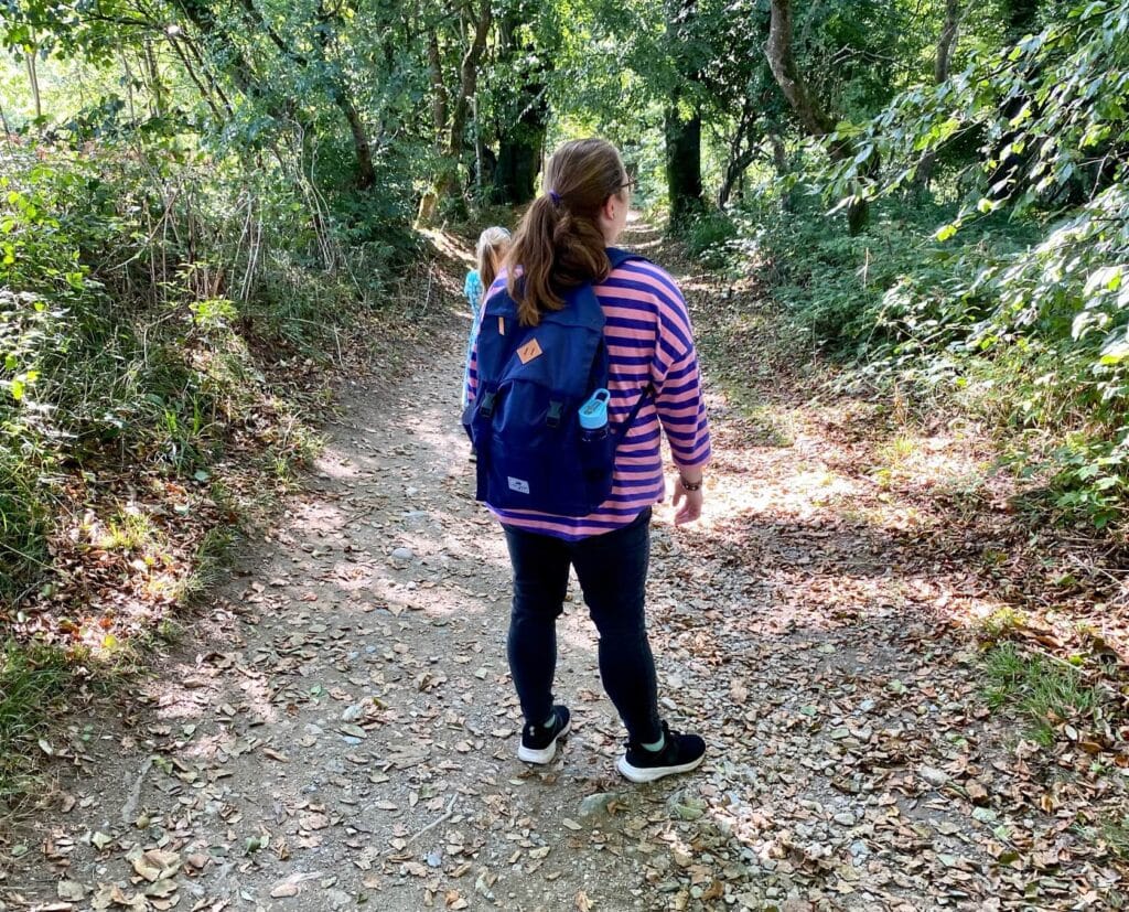 Lance Navy Backpack from Lazy Bear Review