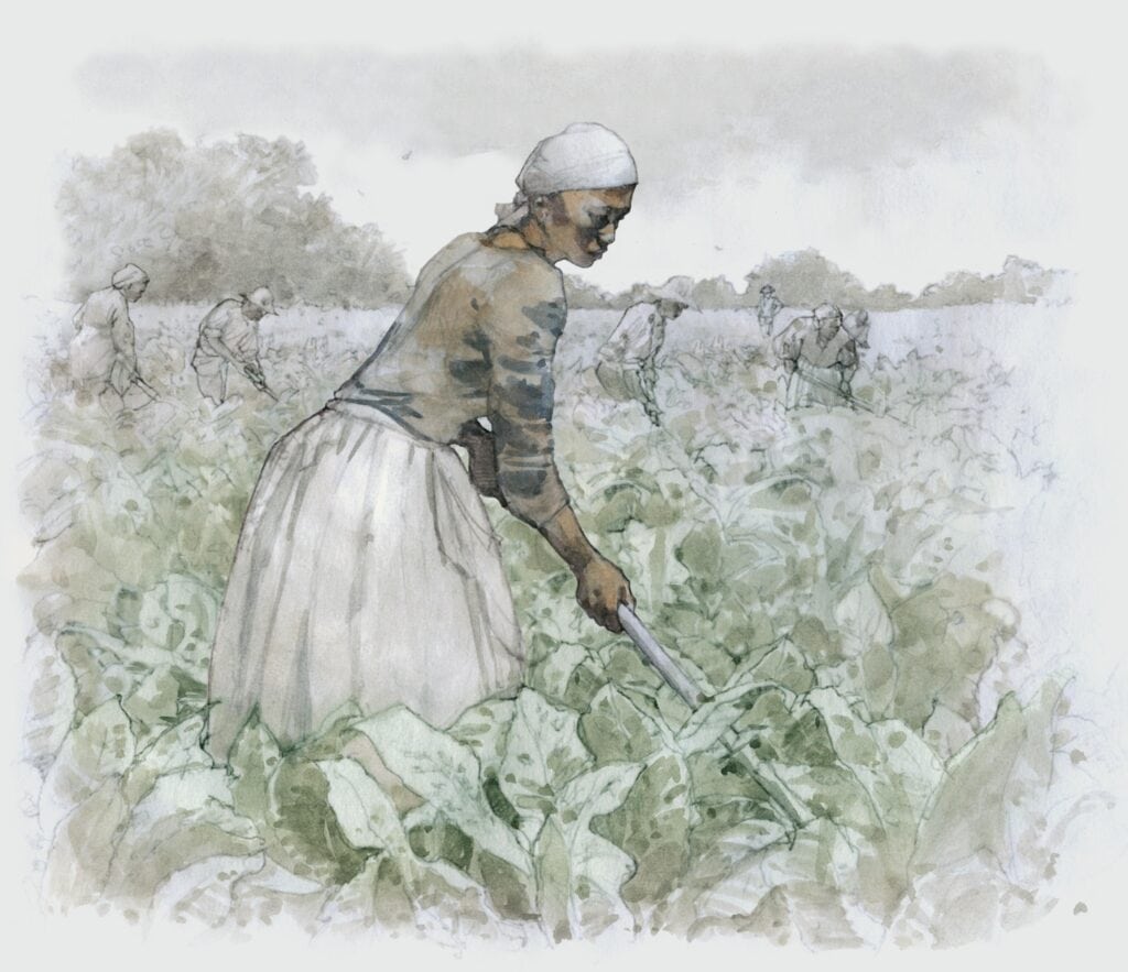 Watercolor of an African American works on a vegatable field, plantation, illustration by Wood Ronsaville Harlin, Inc