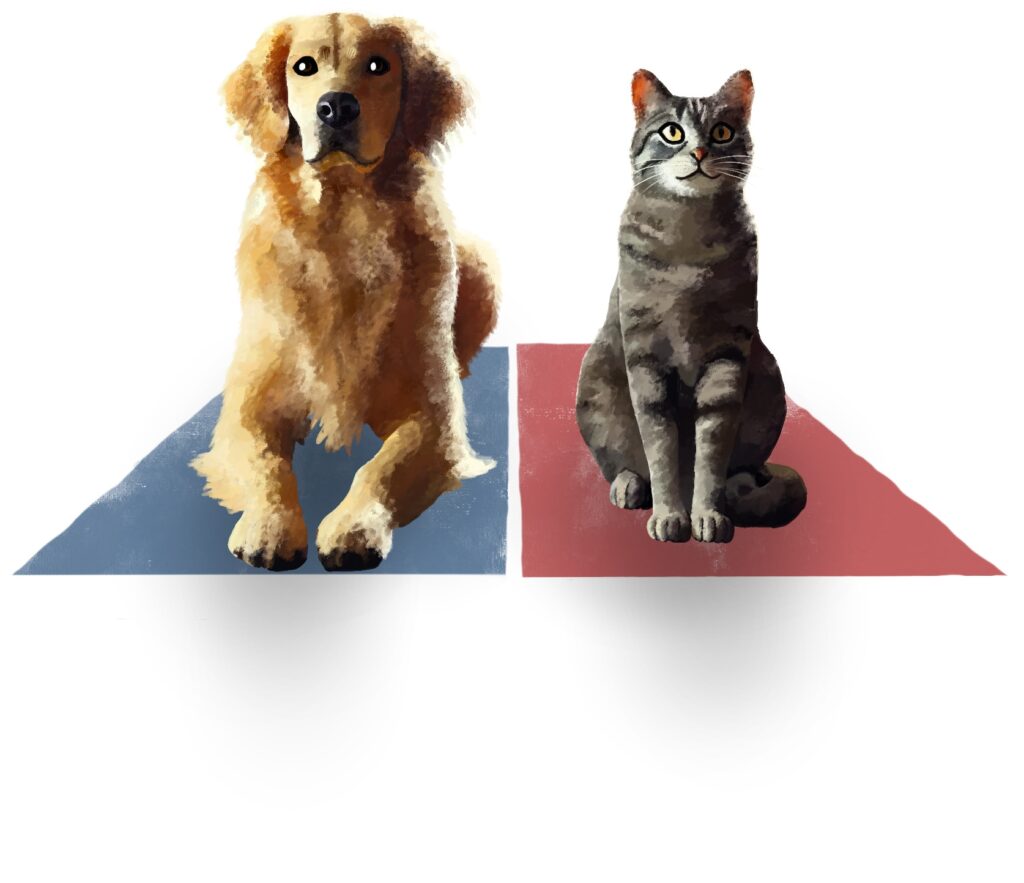 Speech Yoga illustration of a dog and cat sitting on yoga mats