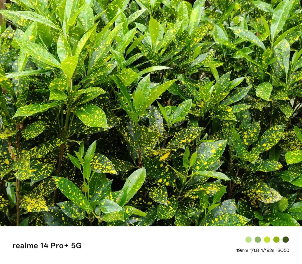 realme 14 Pro+ 5G Camera review - Normal Mode