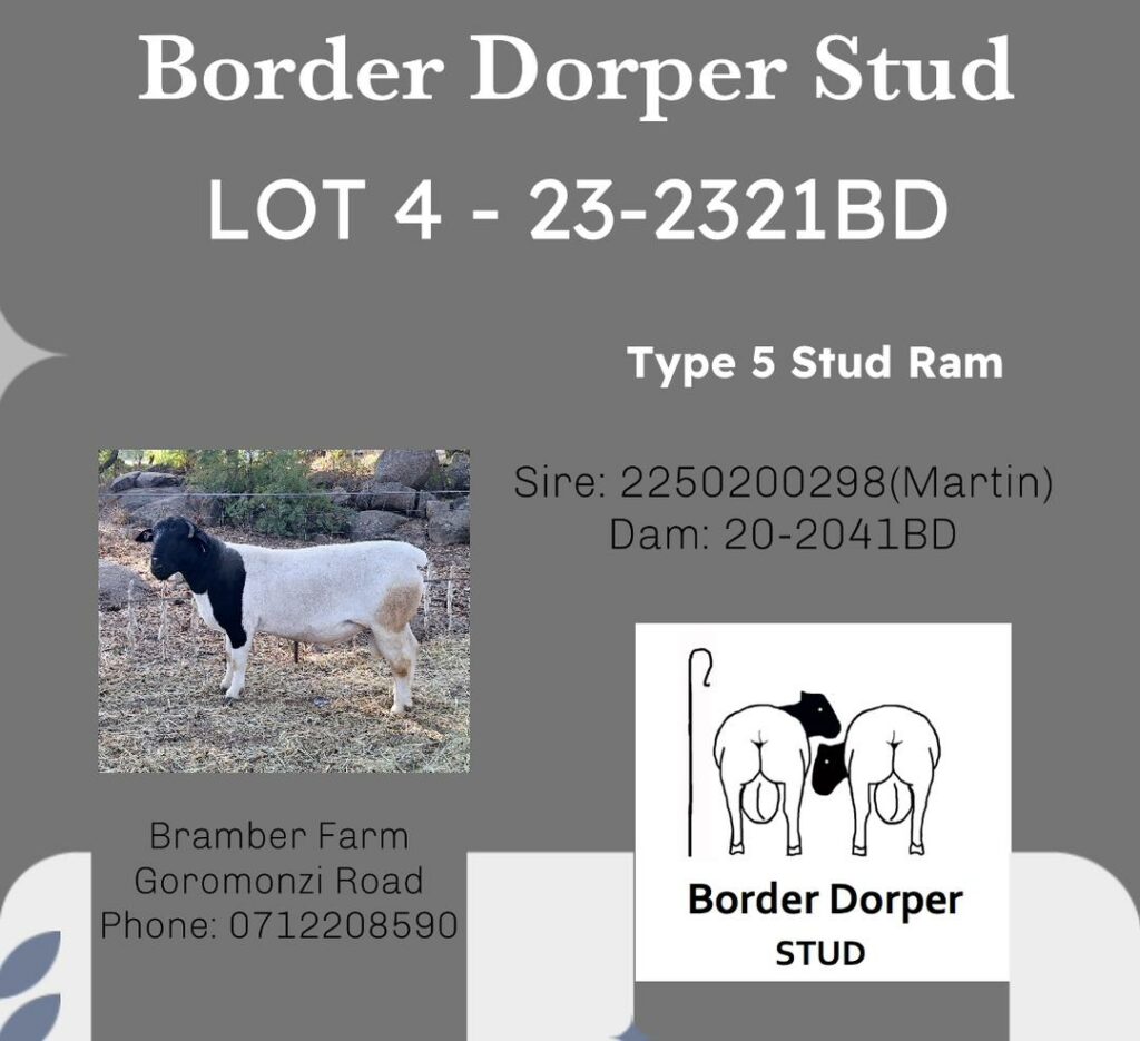 Lot 004