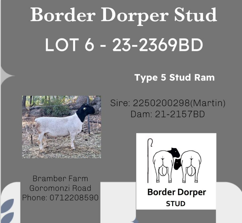 Lot 004-2