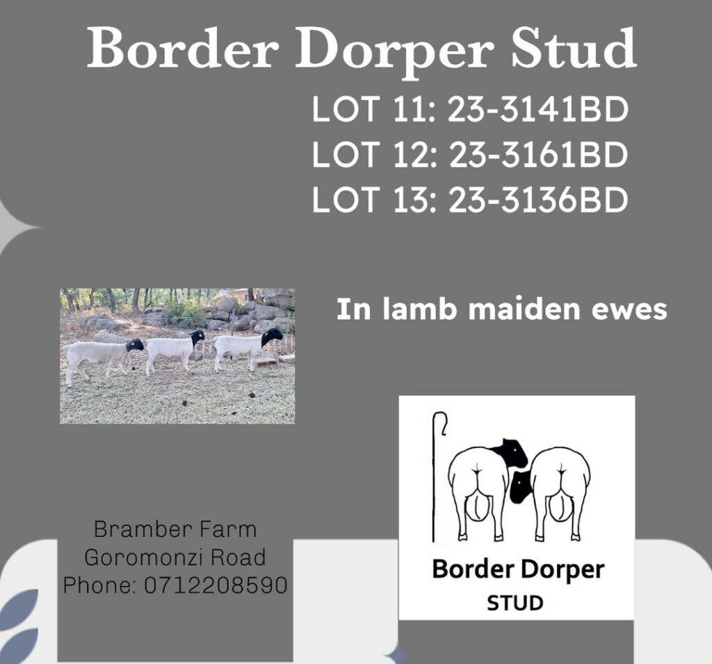 Lot 011:012:013