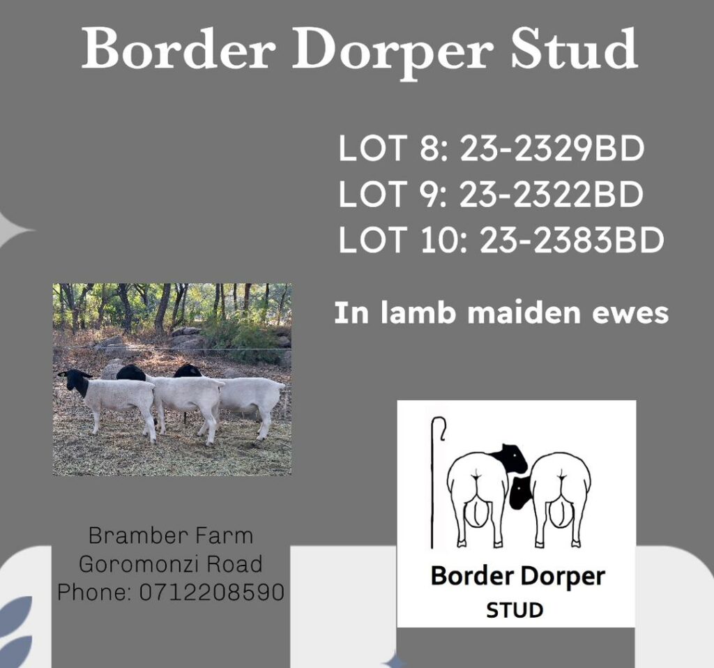 Lot 008:9:10