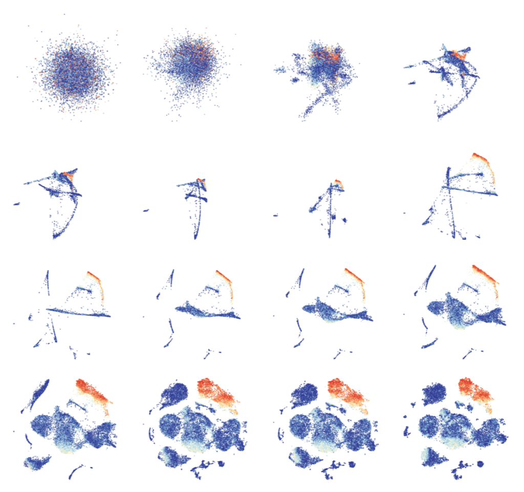 Sogenannter TSNE-Blot, bei dem Zellen mit gleichen Merkmalen in Clustern dargestellt werden
