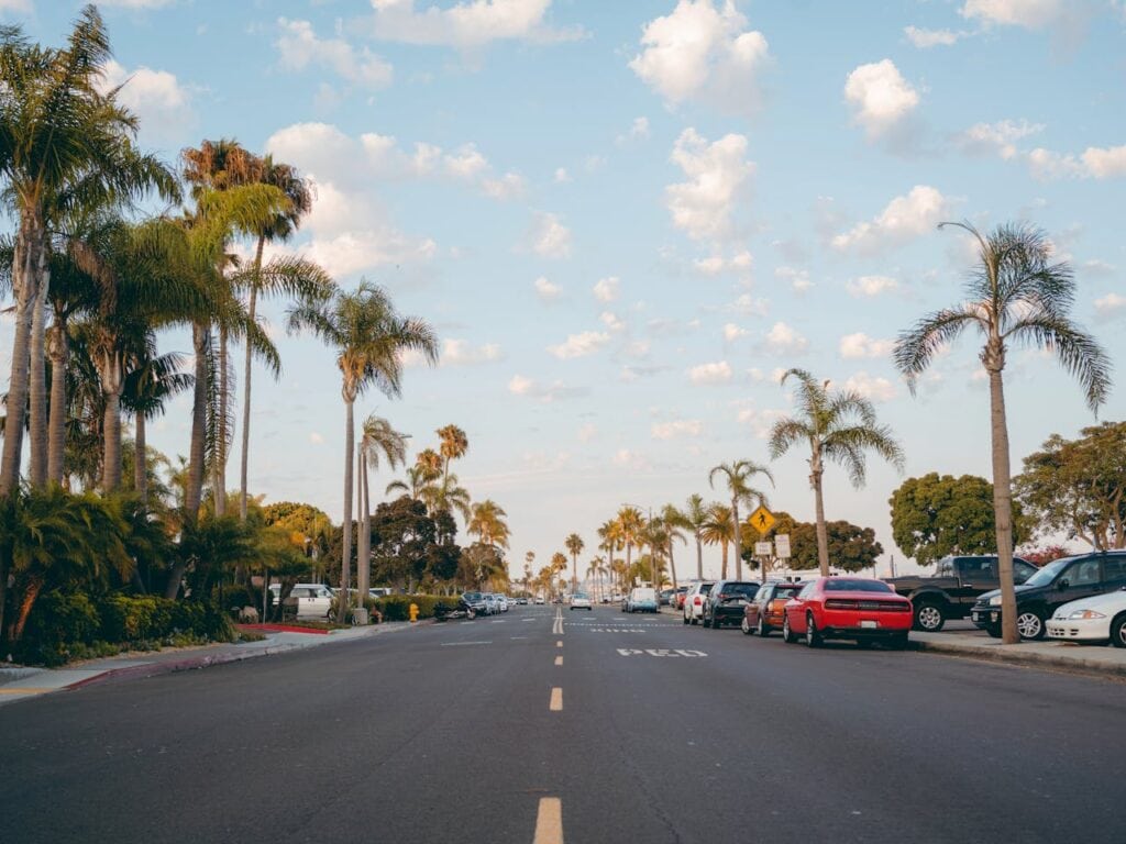 A Street in San Diego with Palm Trees