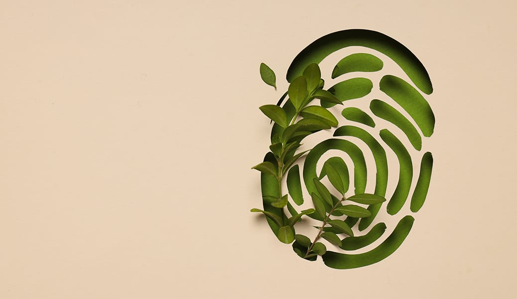 Eco conception création d'une communication verte