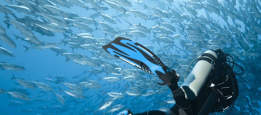 7 Mares Tu Destino de Buceo en Las Palmas de Gran Canaria