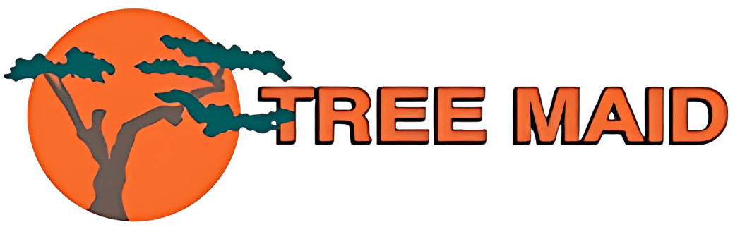 Tree Storm & Hurricane Preparation | Expert Tree Services, Palm Trimming, & Tree Care in Lake Worth & Palm Beach County | Need Help Keeping Your Trees Hurricane-Ready and Holiday-Perfect? Hurricane Tree Preparation https://www.treemaid.com Tree Storm & Hurricane Preparation | Expert Tree Services, Palm Trimming, & Tree Care in Lake Worth & Palm Beach County | Hurricane Tree Preparation | Need Help Keeping Your Trees Hurricane-Ready and Holiday-Perfect? |%org_url%