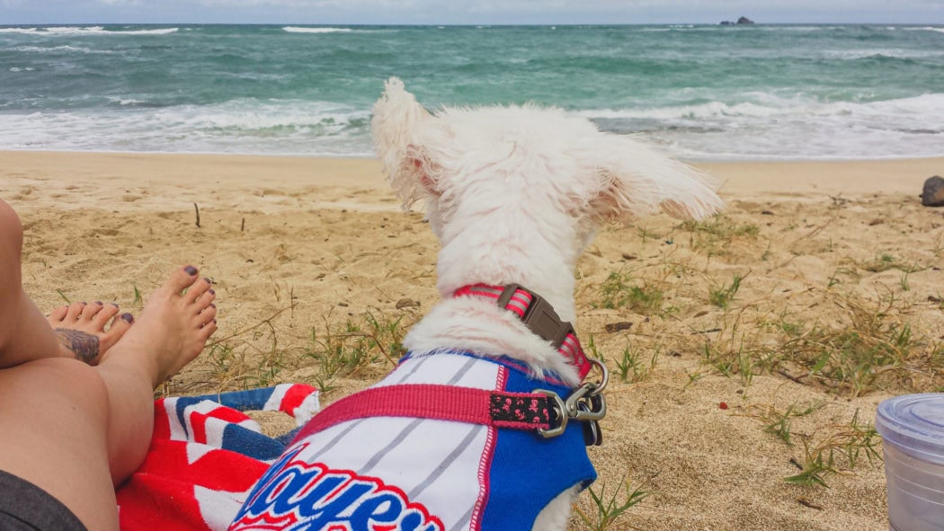 Marine Corps Base Hawaii beaches