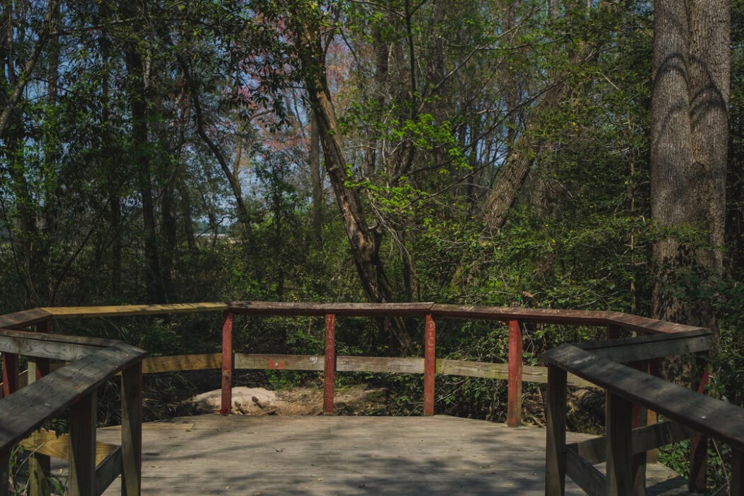 Easy hikes in Fayetteville