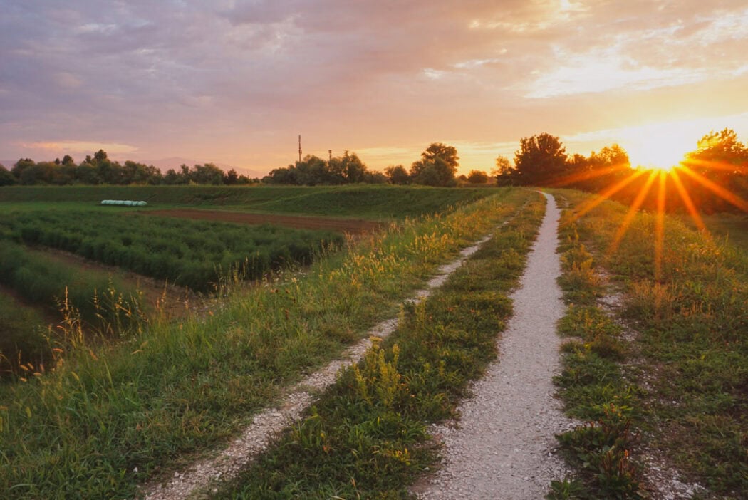 how to make the most of where you live