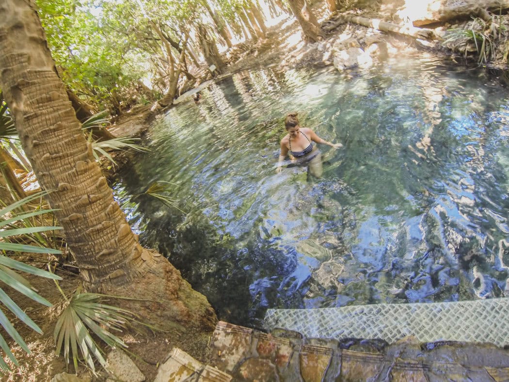 Mataranka Thermal Pool