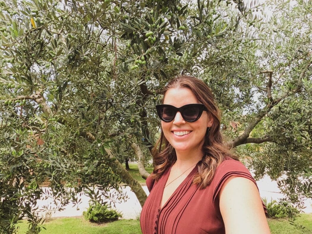 Olive oil factory in Italy