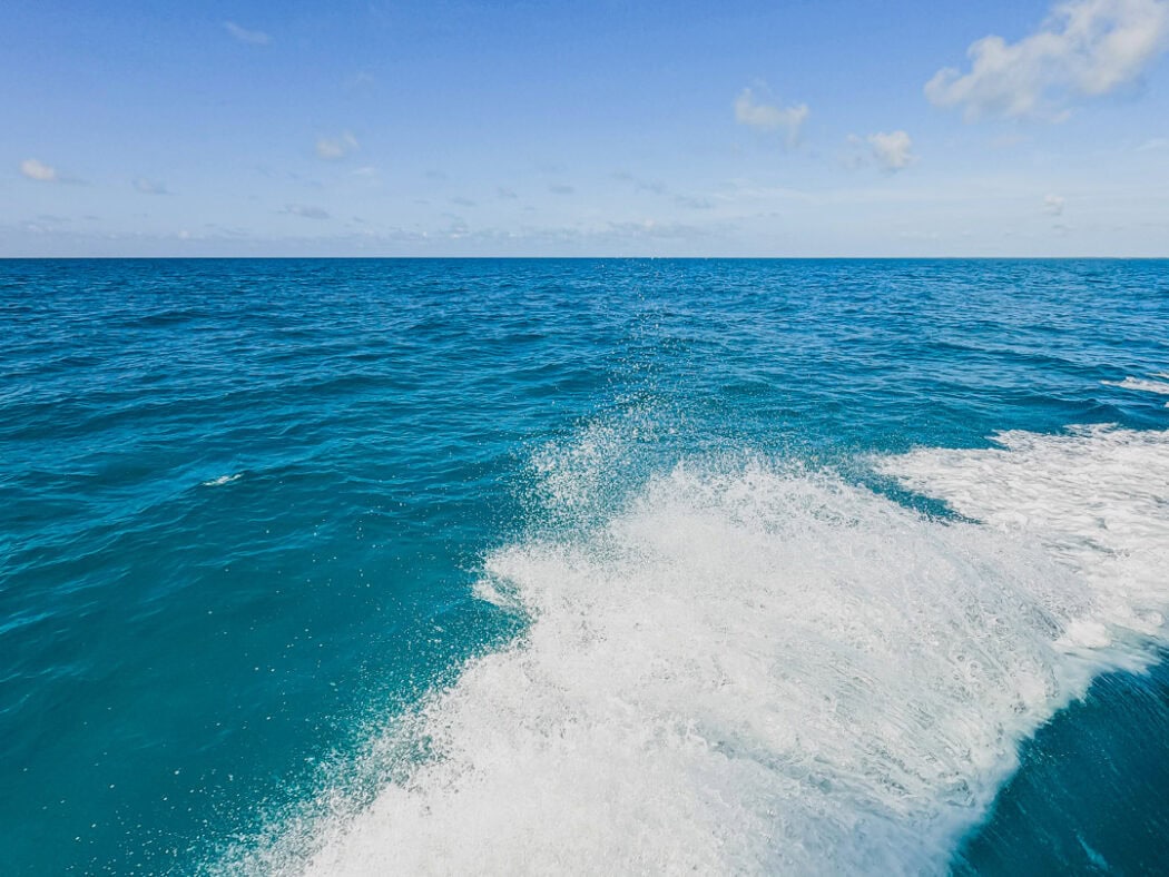 A practical guide on how to prepare for a snorkel tour in a few easy steps to make sure it's an epic experience.