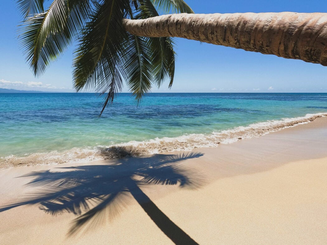 best things to do in Puerto Viejo