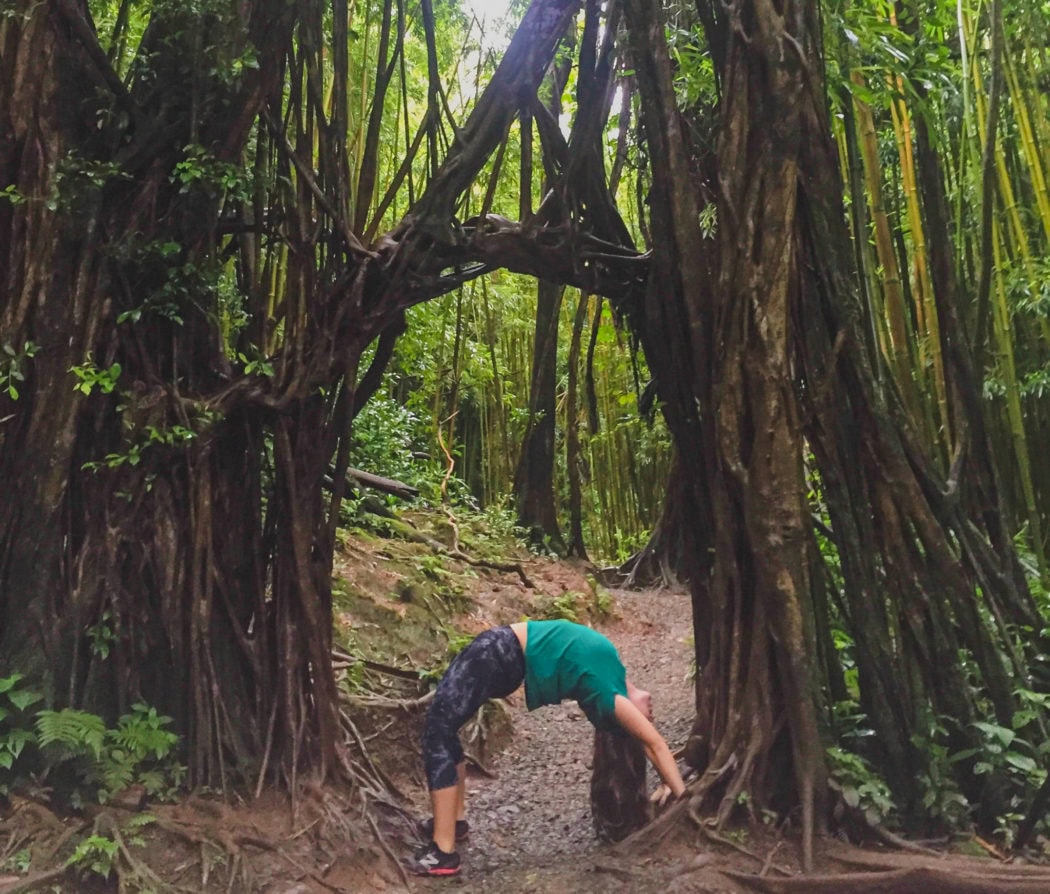 Manoa Falls hike