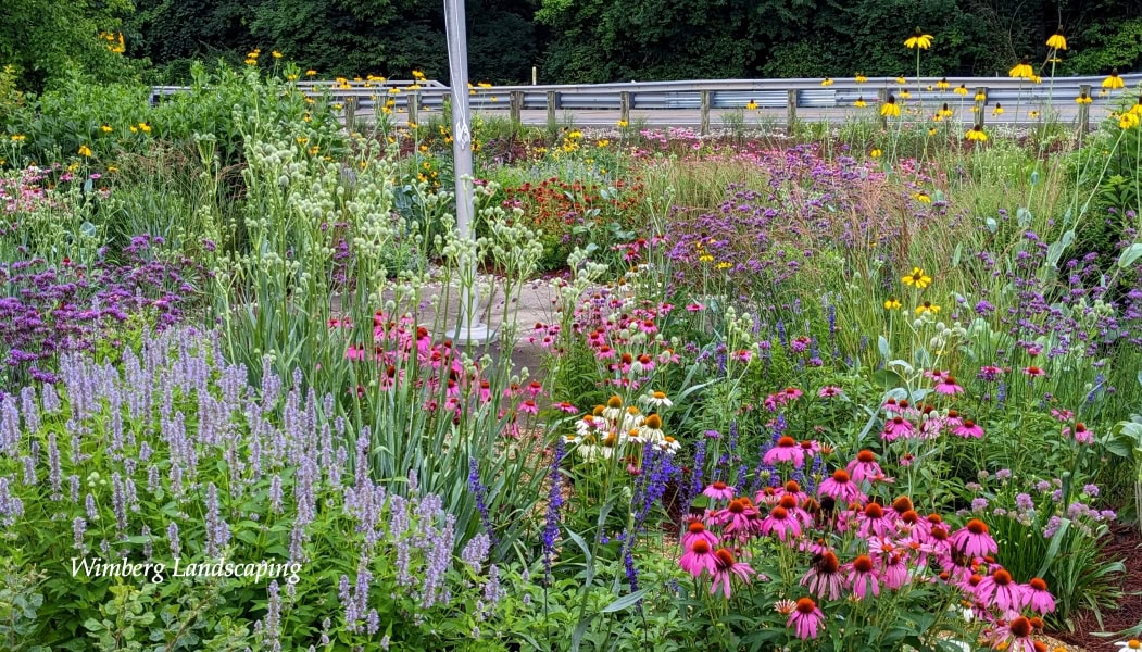 Read more about the article Embracing Clay Soil