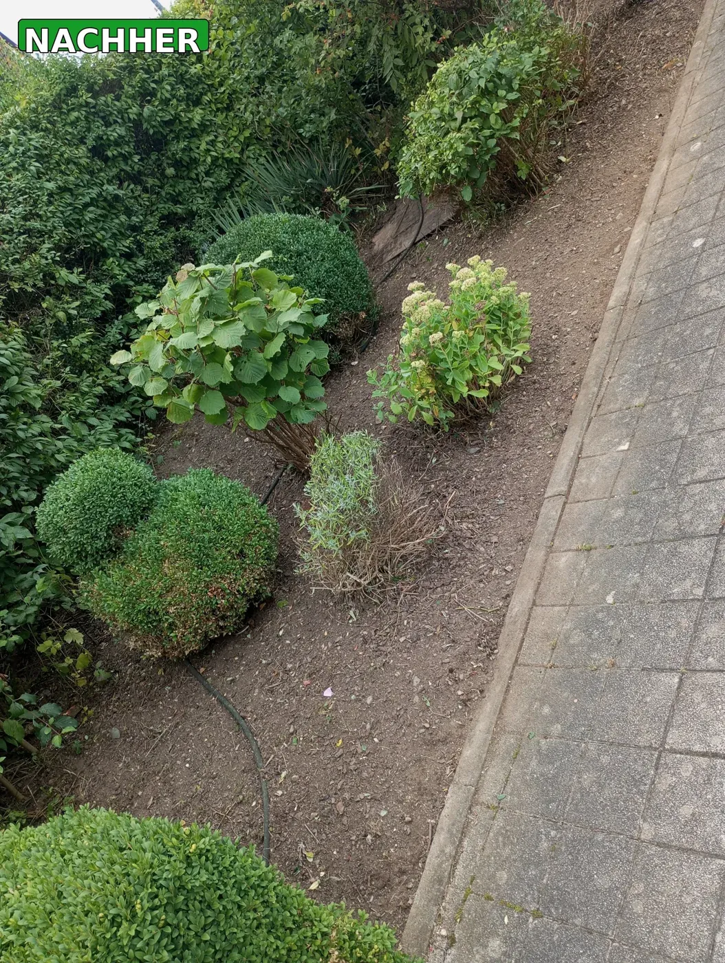 Beet nach der Gartenpflege mit klar gepflegter Fläche
