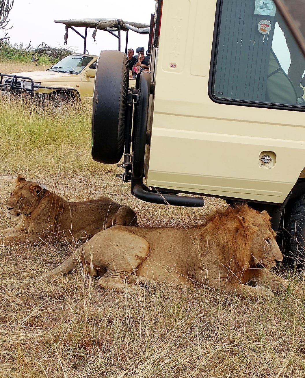 Murchison Falls National Park