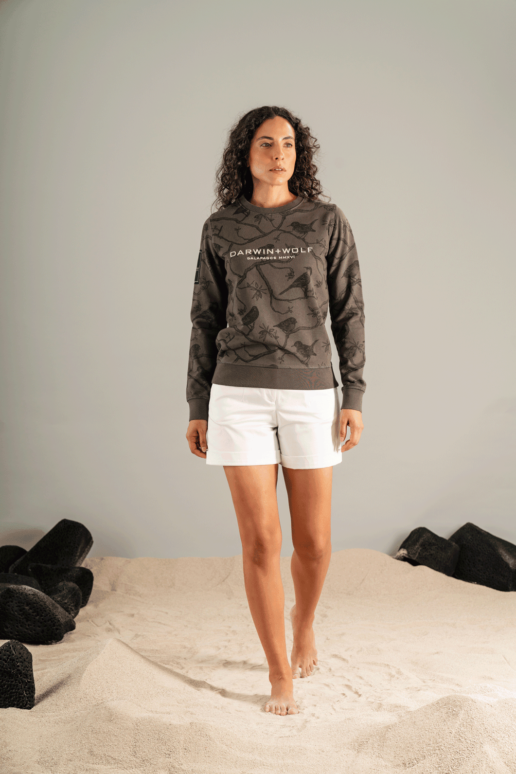 SUDADERA SIN CAPUCHA RAMAS Y PINZONES GRIS