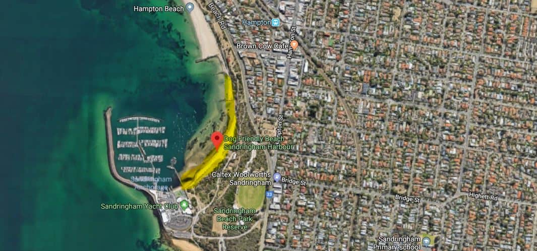 Sandringham - Best dog-friendly beaches in Melbourne and Mornington Peninsula