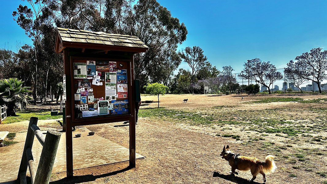 South Park's Grape Street Dog Park