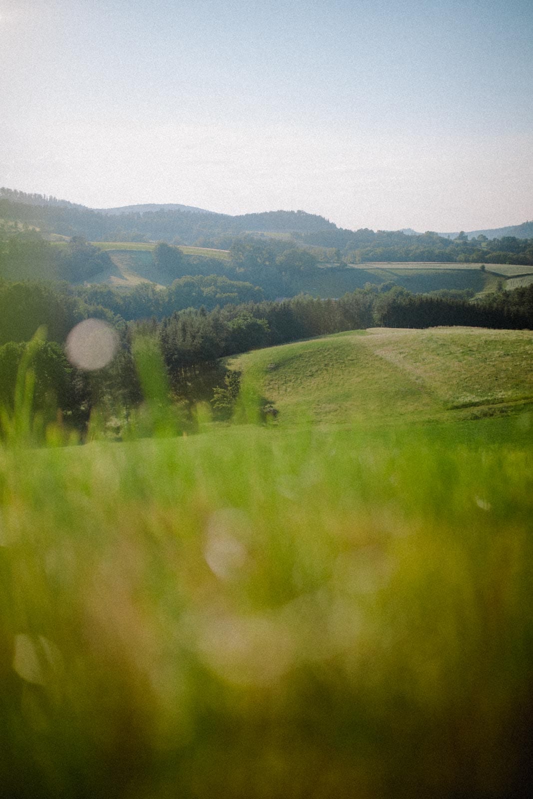 Wiese bei Sonnenuntergang