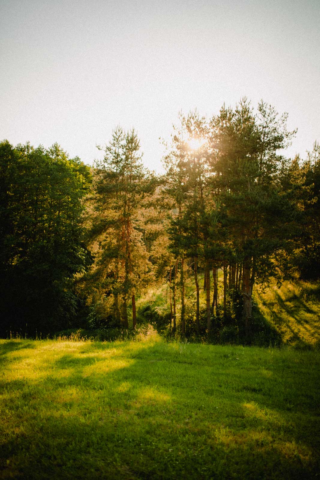Sonnenuntergang hinter den Bäumen