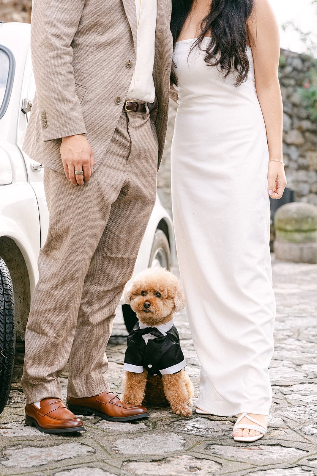 Andrea Gallucci - Destination Wedding Photographer- Amalfi Coast Positano Santorini Barcellona Rome Ravello Paris New York Dog sitting with couple during Amalfi Coast engagement photos