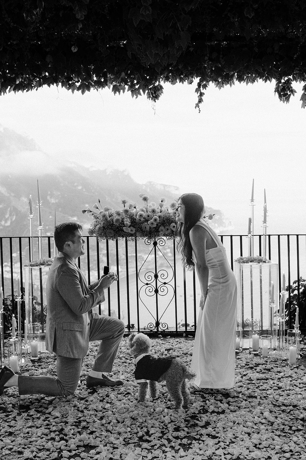Andrea Gallucci - Destination Wedding Photographer- Amalfi Coast Positano Santorini Barcellona Rome Ravello Paris New York Emotional surprise marriage proposal with puppy in Ravello Italy