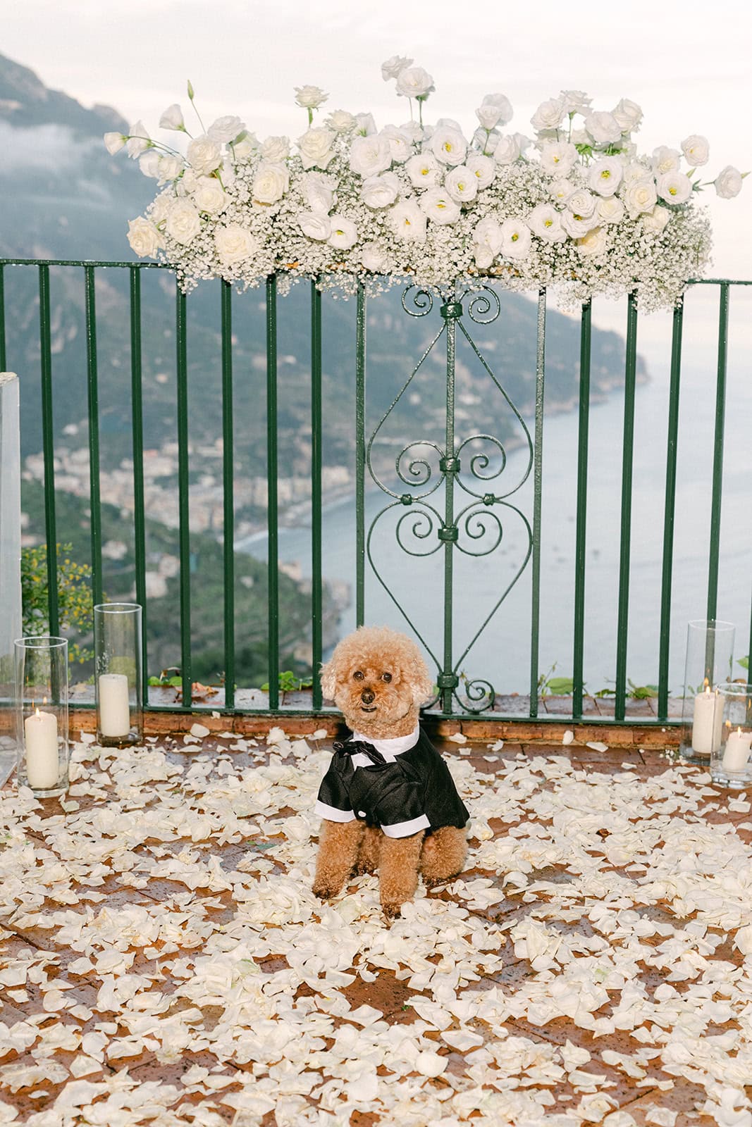 Andrea Gallucci - Destination Wedding Photographer- Amalfi Coast Positano Santorini Barcellona Rome Ravello Paris New York Puppy wearing outfit during romantic Amalfi Coast proposal