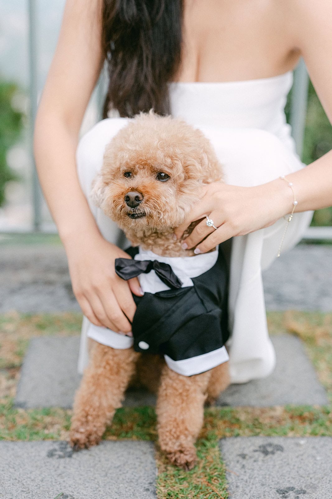Andrea Gallucci - Destination Wedding Photographer- Amalfi Coast Positano Santorini Barcellona Rome Ravello Paris New York Bride holding dog after surprise proposal in Ravello