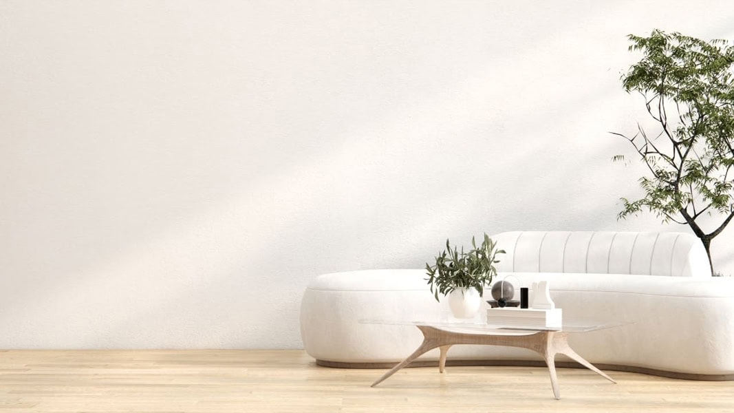 Minimalist Trends 2024