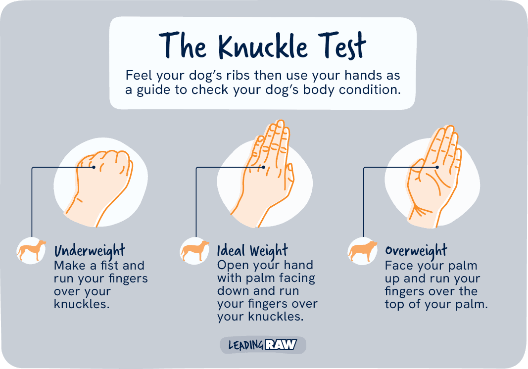 Leading Raw Knuckle Test