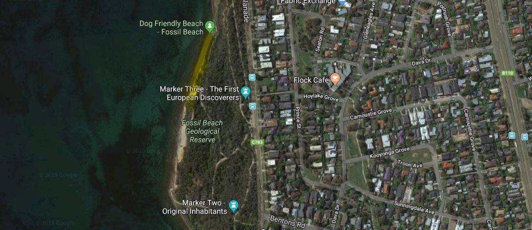 Fossil Beach - Best dog-friendly beaches in Melbourne and Mornington Peninsula