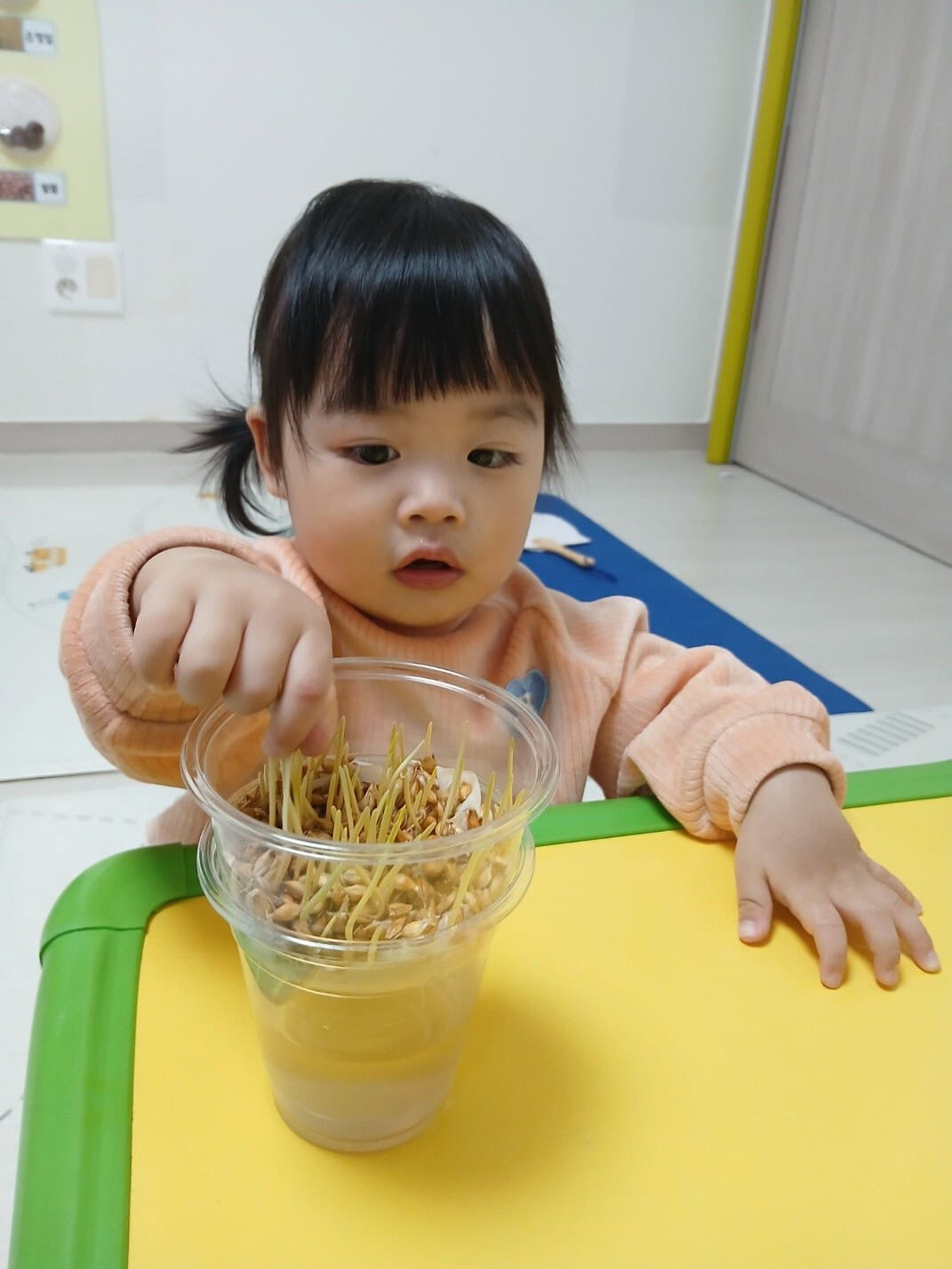 하린 어린이집 일상