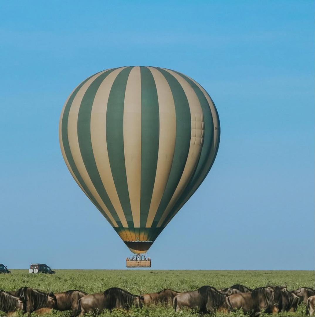 Discover Serengeti National Park with Kale Voyage