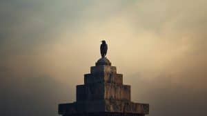 A Lonely Bird Perched on the Top